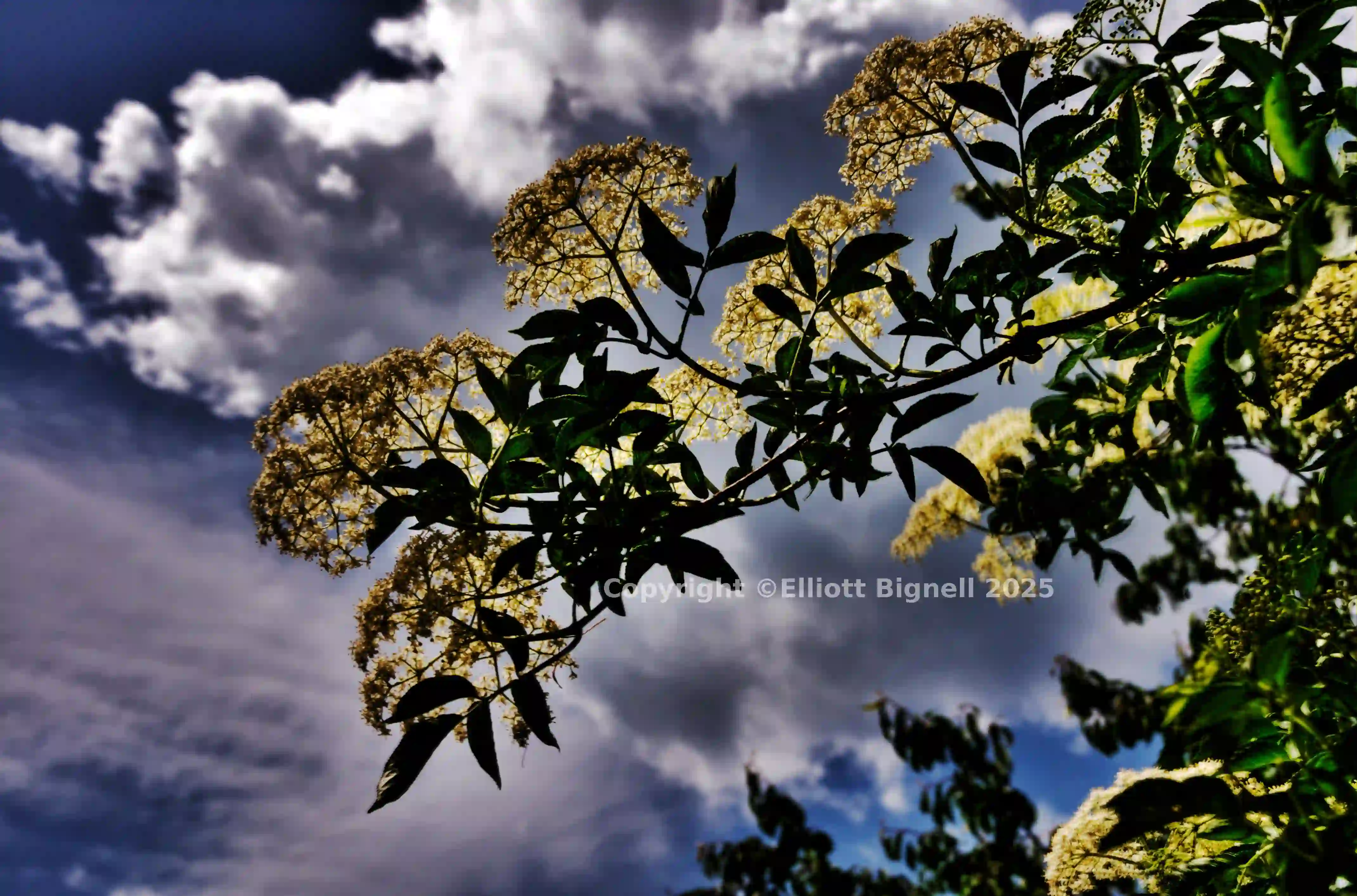 DSC_5763_4_1_5_2 Kopie.jpg